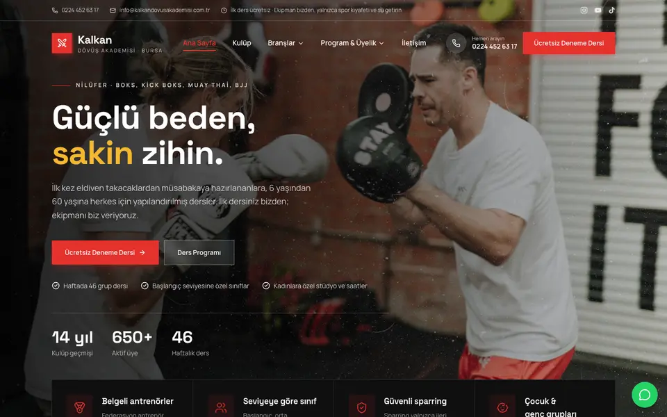 Dövüş Sanatları web sitesi şablonu