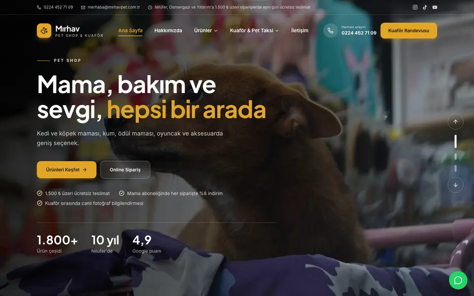 Pet Shop · Klasik şablonu