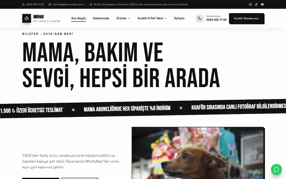 Pet Shop · Sokak şablonu
