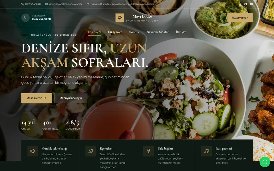 Restoran · Lüks şablonu