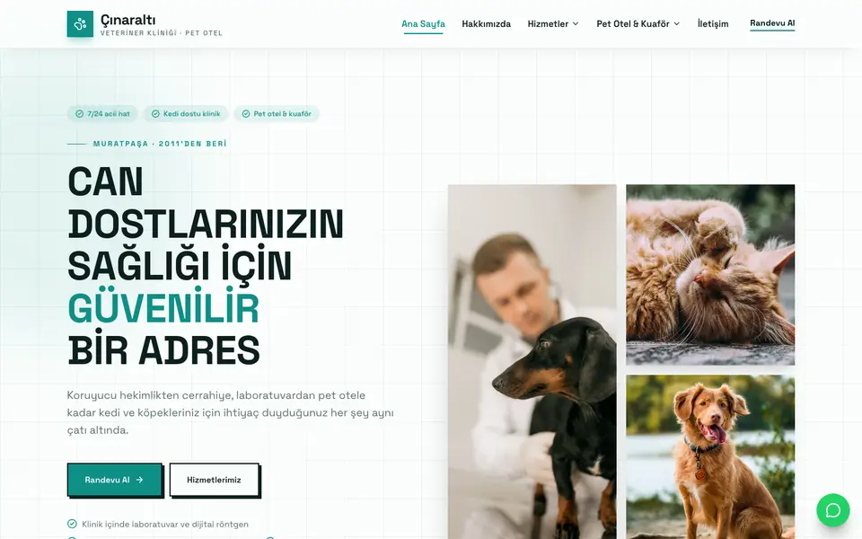 Veteriner Kliniği · Brutal şablonu