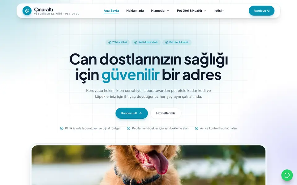 Veteriner Kliniği · Kristal şablonu